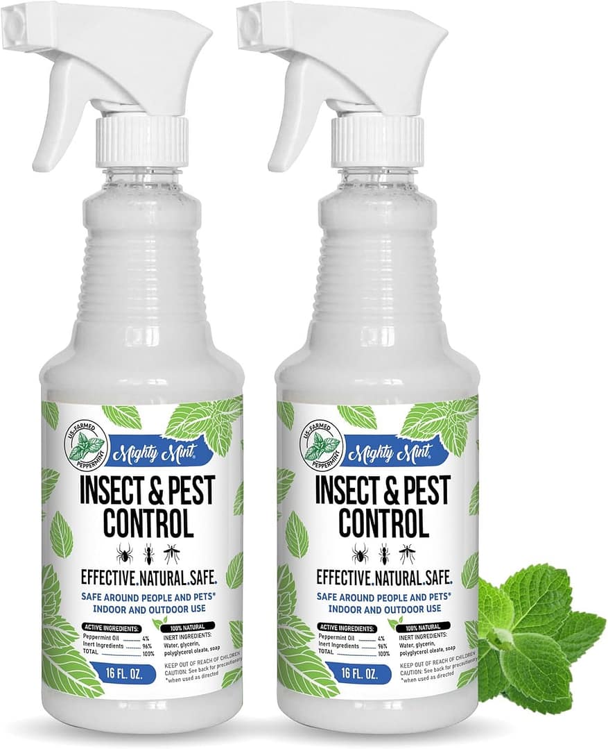 717hdqEM9EL._AC_SL1500_